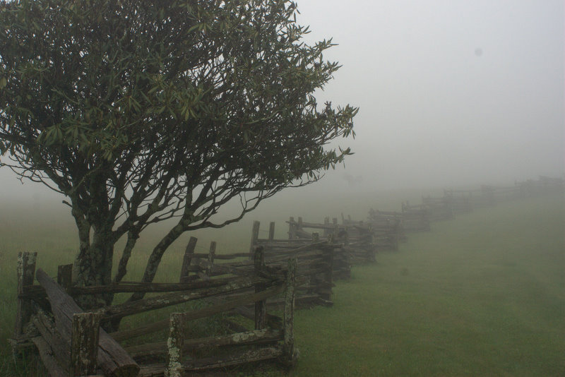 dsc_0074 dsc_0074