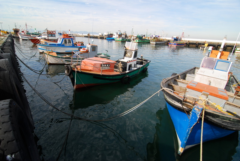 kalk bay
