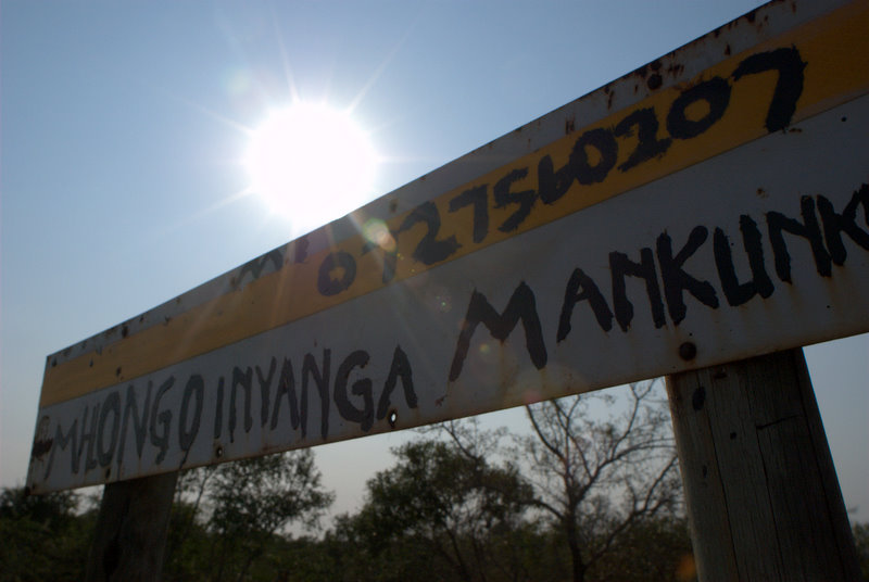 mhongo inyanga