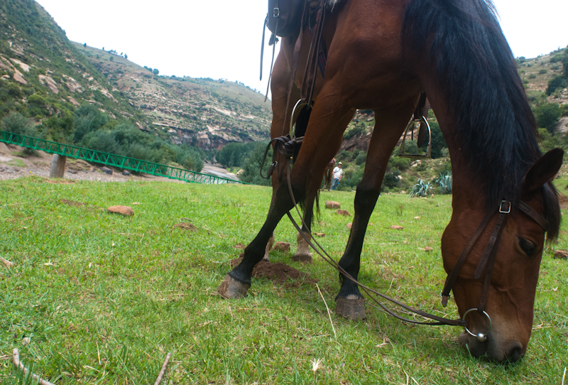 power the horse power the horse