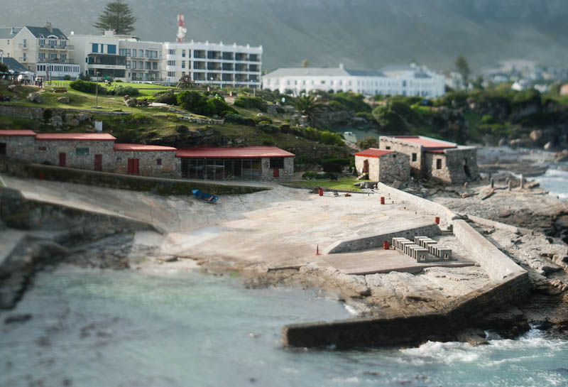 hermanus harbo(u)r