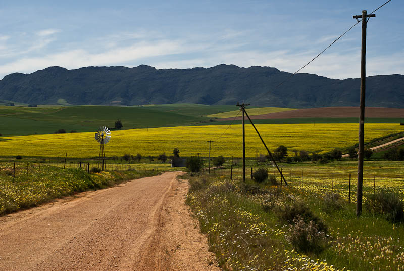 farm road farm road