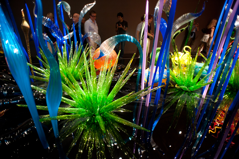 chihuly 4 chihuly 4