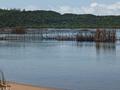 tonga fishing traps