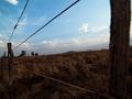 karoo fence
