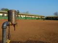 water spigot