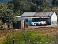 laundry on the line