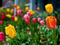 spring's here